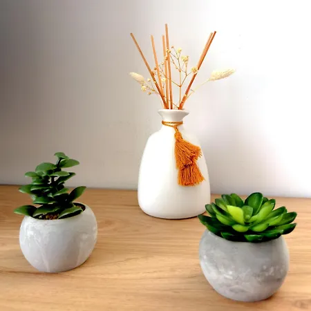 Daire La Parenthese Compiègne